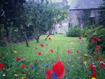 Création de jardin à Rostrenen